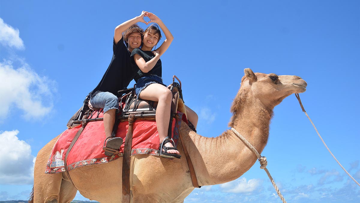bali-camel-tour