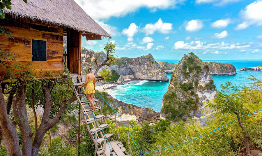 Tree House